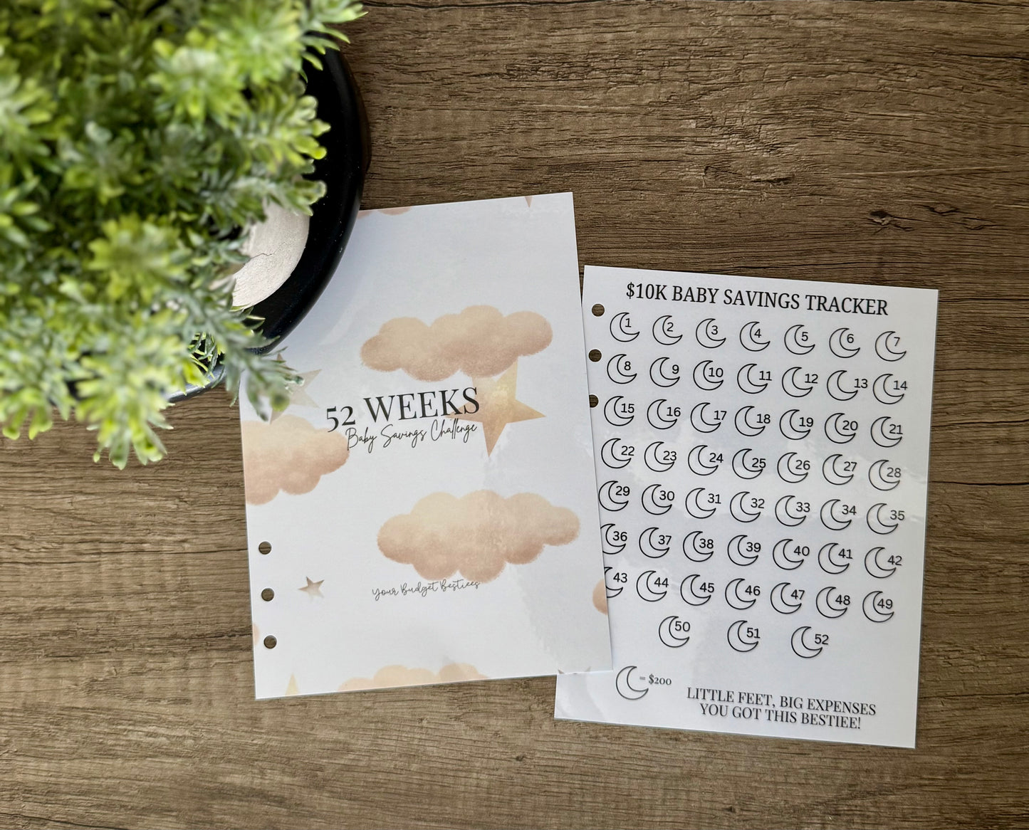 A5 52 week savings dashboard