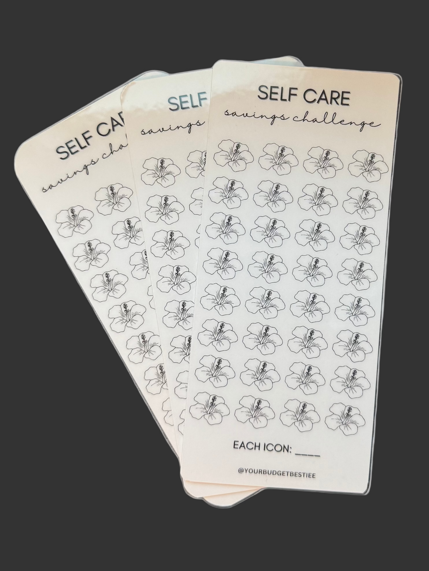 Denomination Savings Challenge Cards (1's, 5's,10's and self care)